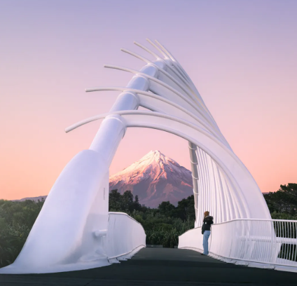Te Rewa Rewa Bridge
